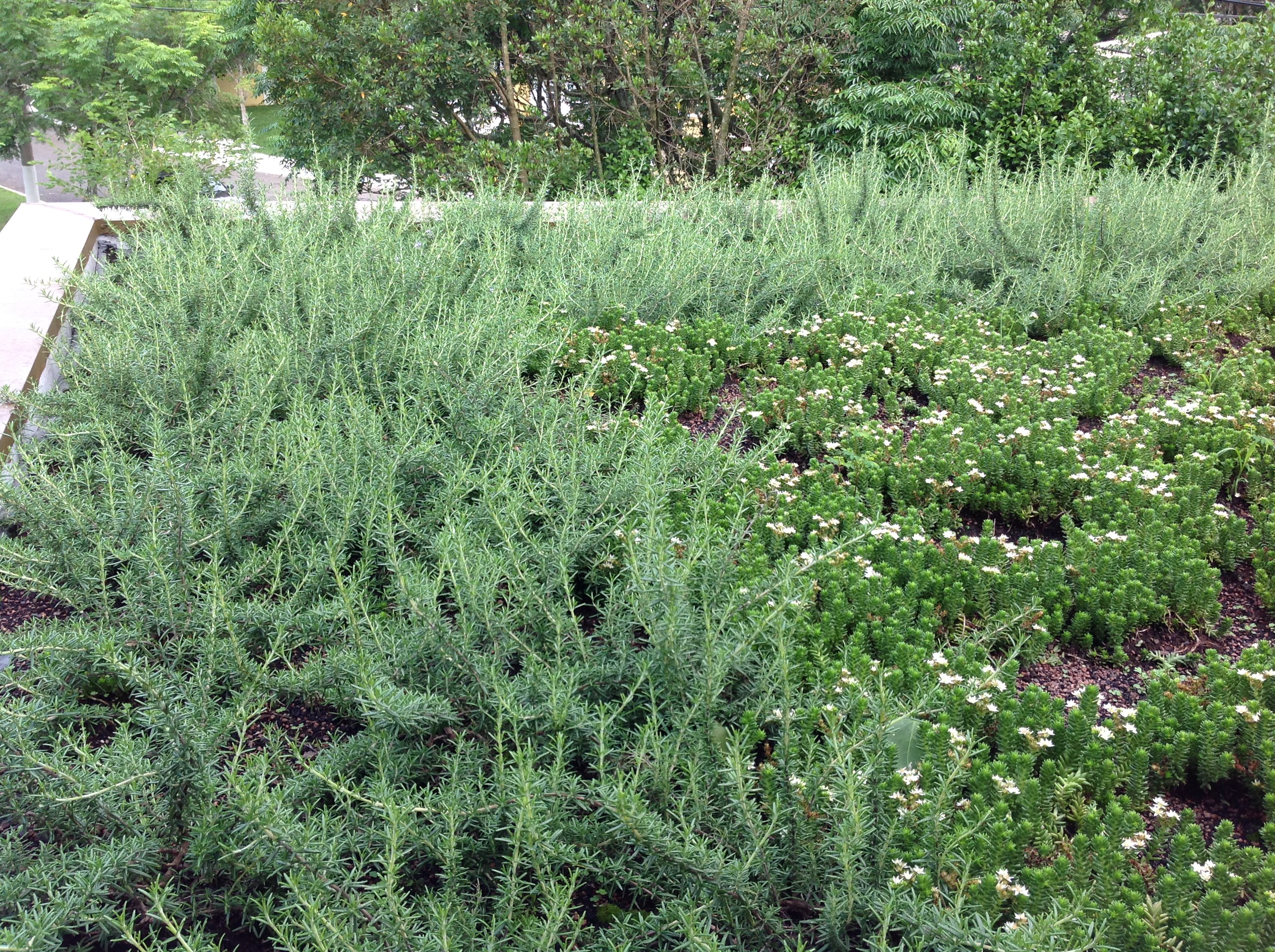Telhado Verde APP