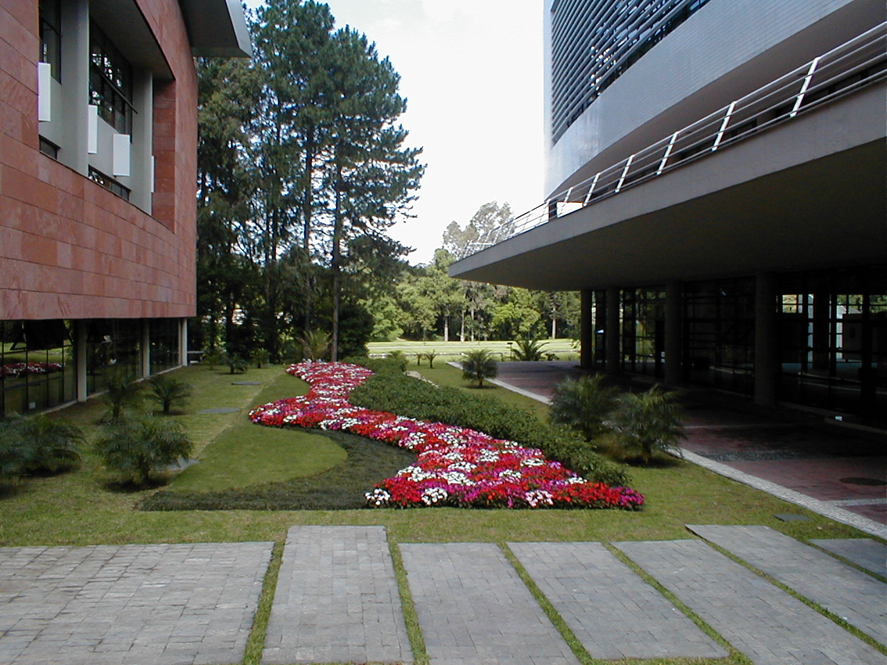 universidade positivo