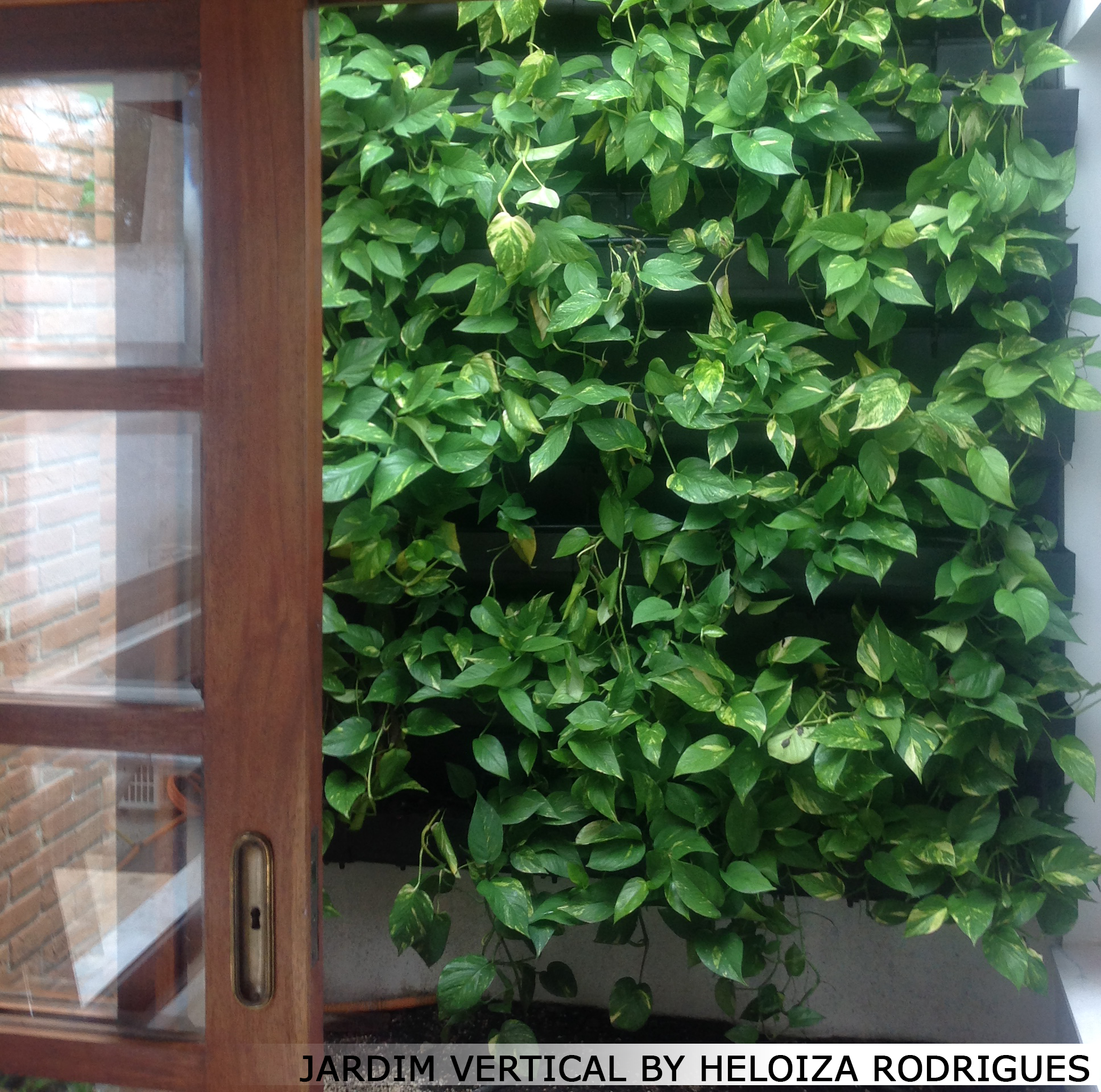 jardim vertical por heloiza rodrigues