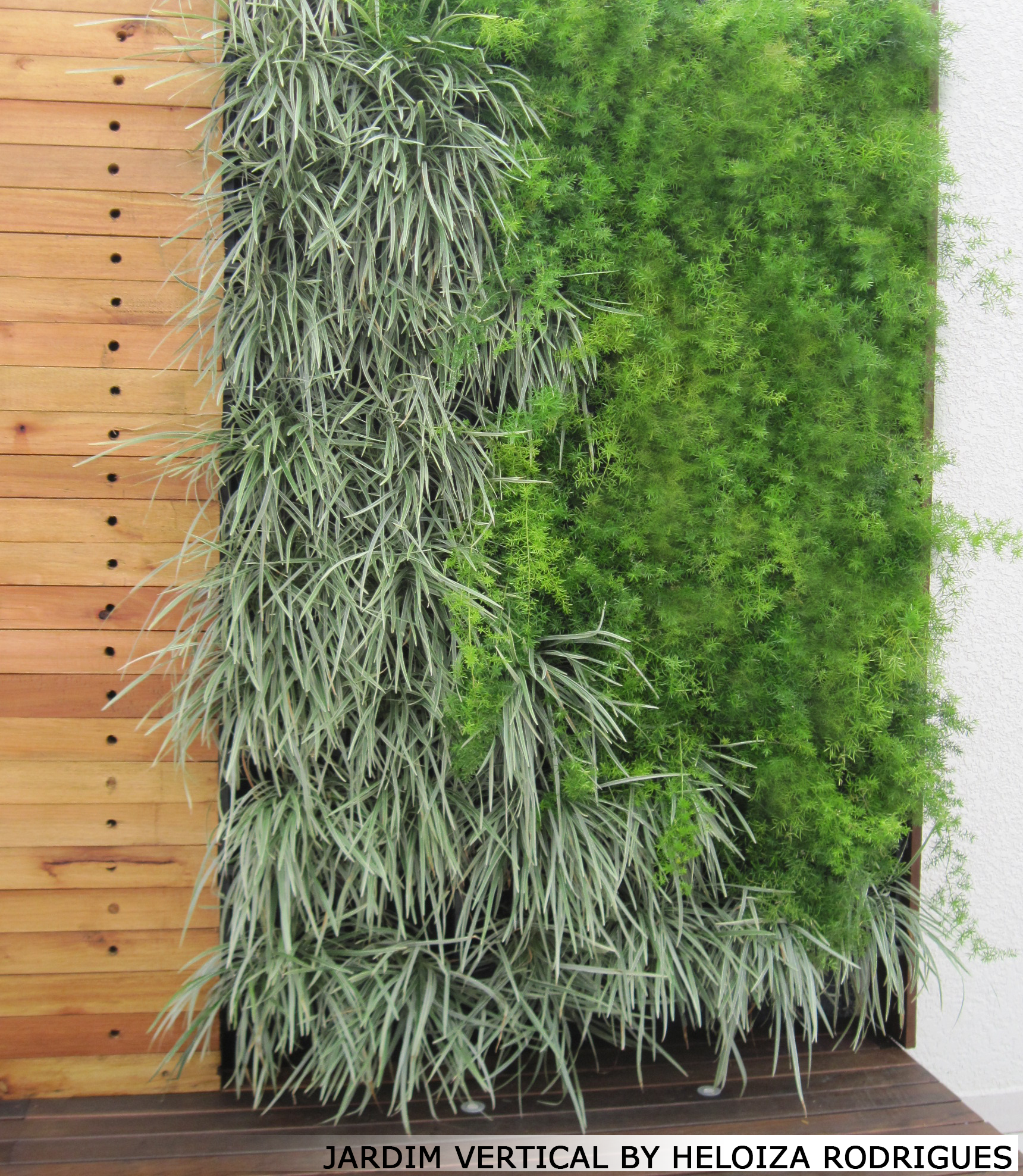jardim vertical by heloiza rodrigues