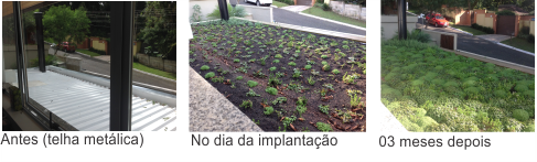 processo
